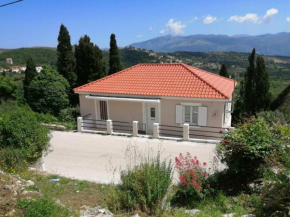 Dina's House